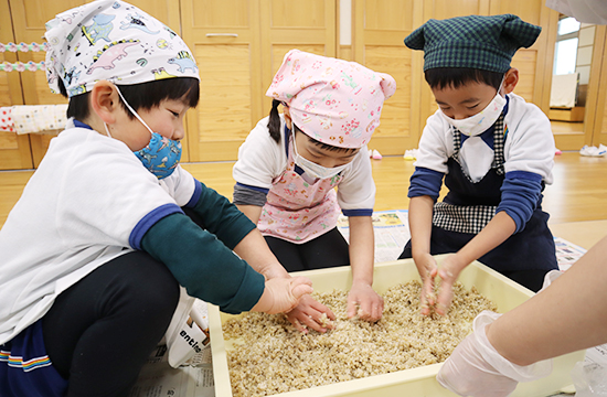 大きな箱に入った大豆や麹を、手でまぜてみそをつくる子どもたち