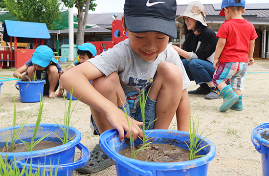 バケツの田んぼに苗を植える子どもに、となりでそっと手をそえる大人