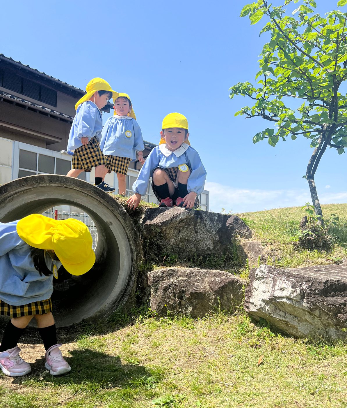 わんぱく山の斜面を、声をあげてかけおりる子どもたち