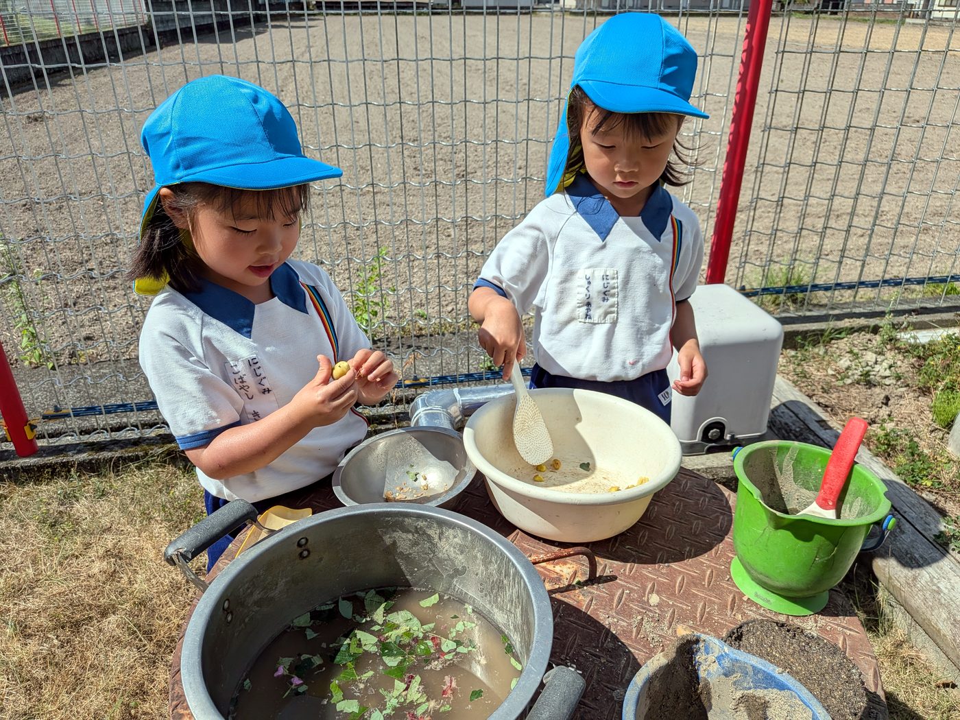 園庭で、道具や水・草を使って試したり見比べたりする二人の子ども